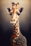 Giraf art_AS557450626